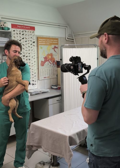 Veterinar u Veterinarskoj ambulanti Otto pregledava psa tijekom redovitog pregleda.